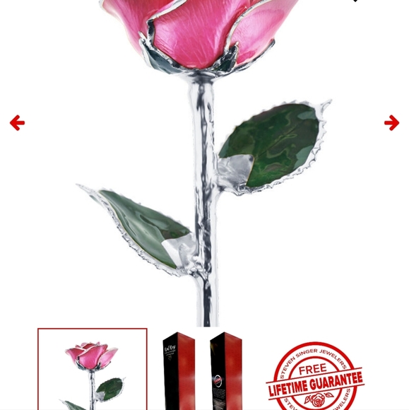 Steven Singer Real Pink Rose Preserved and Dipped in Platinum - Picture 13 of 14